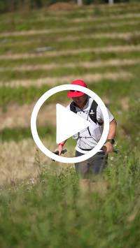 BIB:  <button type="button" onclick="openModal(26787172)" class="btn btn-primary btn-sm float-right" data-toggle="modal" data-target=".modal-high-quality">
                <i class="fa fa-download"></i> Download
                </button>